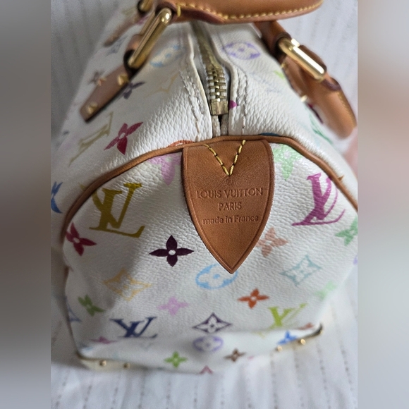 Rare Louis Vuitton Multicolor Speedy 30 β Murakami x LV, Full Setπ₯ - Picture 11 of 15